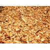 Buying pine wood chips, 6000MT a year, 15% moisture, CIF