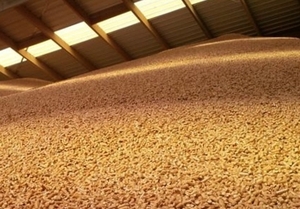 Interested in Fir wood pellets, in bulk, 40HQ, CIF $0