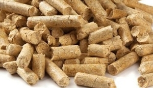 Interested in wood pellets, 50,000t a month to South Korea $100