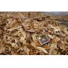 Interested in buying of wood fuel chips