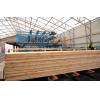 Sawn timber from spruce and pine, 16-18% KD, 200-250m3 a month