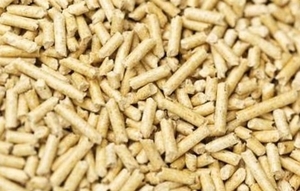 Purchase of pellets A1 light made of pine by 15 kg to Poland $0