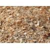 Purchase of wood chips of coniferus wood