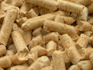 Interested in wood pellets EN+ A1 $0