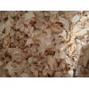 wood chips from pine 10,000t available