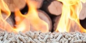 Wood pellets $160