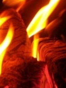  We Manufactures and offers wooden fuel briquettes pressed of coniferous sawdust $0