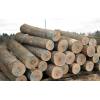 White Oak logs and Red Oak logs and lumber