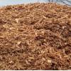 Supplying wood chips supply upon request