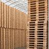 4 trucks Euro pallets required monthly