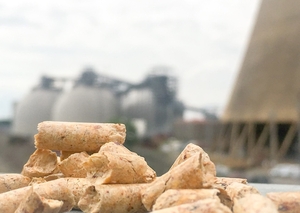 Looking for a buyers for A1 pine pellets $0