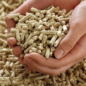 Pine pellets EnPlus A1, 6mm direct from producer $111