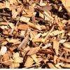 Looking for pine wood chips to China, CIF