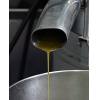 Crude Rapeseed oil from Russia 