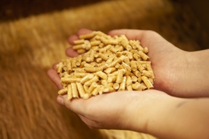 Wood pellets 6mm EN Plus A1 $125