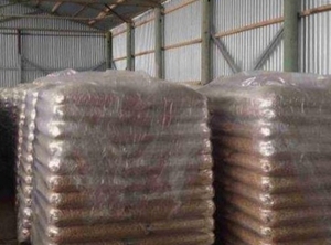 ENplus A1 pellets from Russia $125