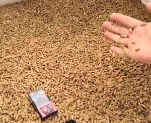 Coniferous wood pellets from Belarus $120