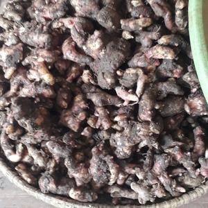  Wood pellet from Indonesia  $220