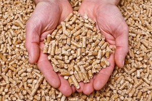 We have 20,000 tons of wood pellets ready for shipping $80