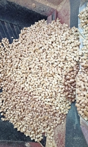 Wood pellets from Russia (Siberia) offered $0