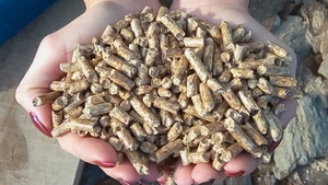 Wood pellets class A1 $155