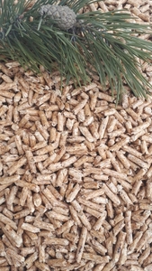 Offer for ENplus A1 pellets $99