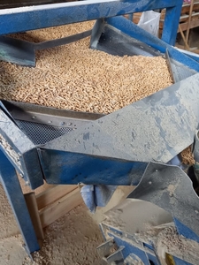 Wood pellets EnPlus A1 offer $200