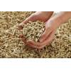 Selling wood pellets of high quality