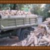 Firewood for fireplace on sale, 33 cm