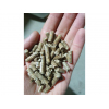 Offering pine wood pellets, FCA Ukraine, Kyiv