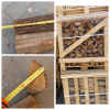 Selling hornbeam firewood 30 cm, DAP term