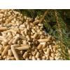 Sawmill Corporation in Virginia (US) seeking partner to produce wood pellets