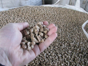 we can offer pellets DIN industrial 8mm $0