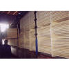 Saw-timber of larch on sale for export