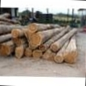 3000m3 of Tali and Wenge Round Logs for sale $0
