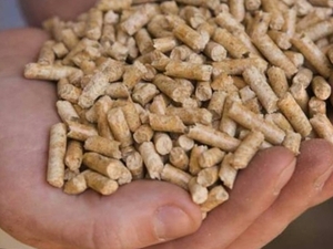 Wood pellets offer from Ulijanovsk $0
