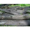 Saw-timber in stock