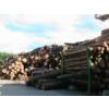 Plank timber (round timber) in stock