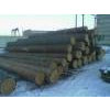 Round wood of pine on sale, 255 UAH/1m3
