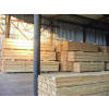 We offer saw-timber supply on sale