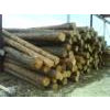 Round wood supplies from Ivano-Frankovsk