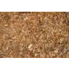 Dry and wet wood chips for industrail purpose