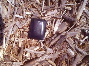 SELL Eucalyptus Wood Chip & Log $0