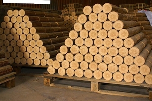 Sawdust briquettes - Quantity 100,000 MT / Month $0