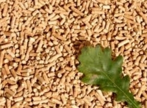 Our company is searching for reliable wood pellets suplier $0