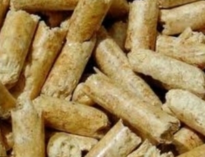 Looking for pellets or any other type of biofuel $0