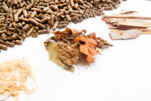 We are Buying +20,000 MT/Month of wood pellets for China destination $0