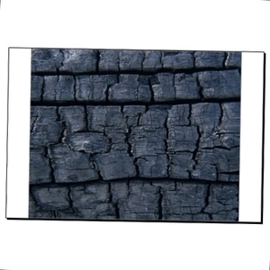 Carbonized wood  $0