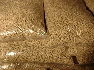 Marketing Manager $0