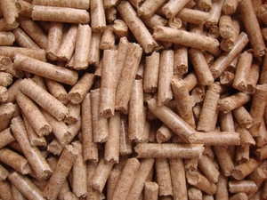 Wood Pellets are suitable for co-firing of coal fired power plants $0